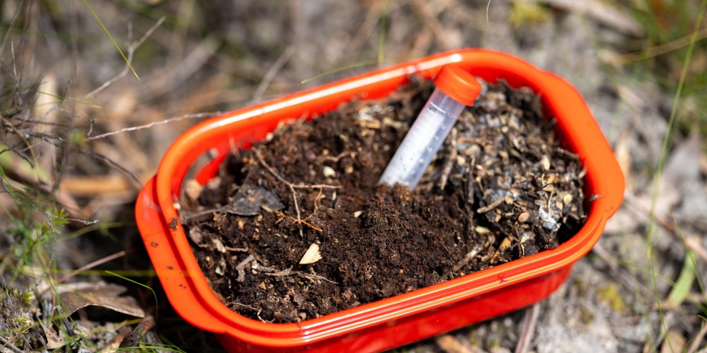 The Gardener's Guide to Soil Testing