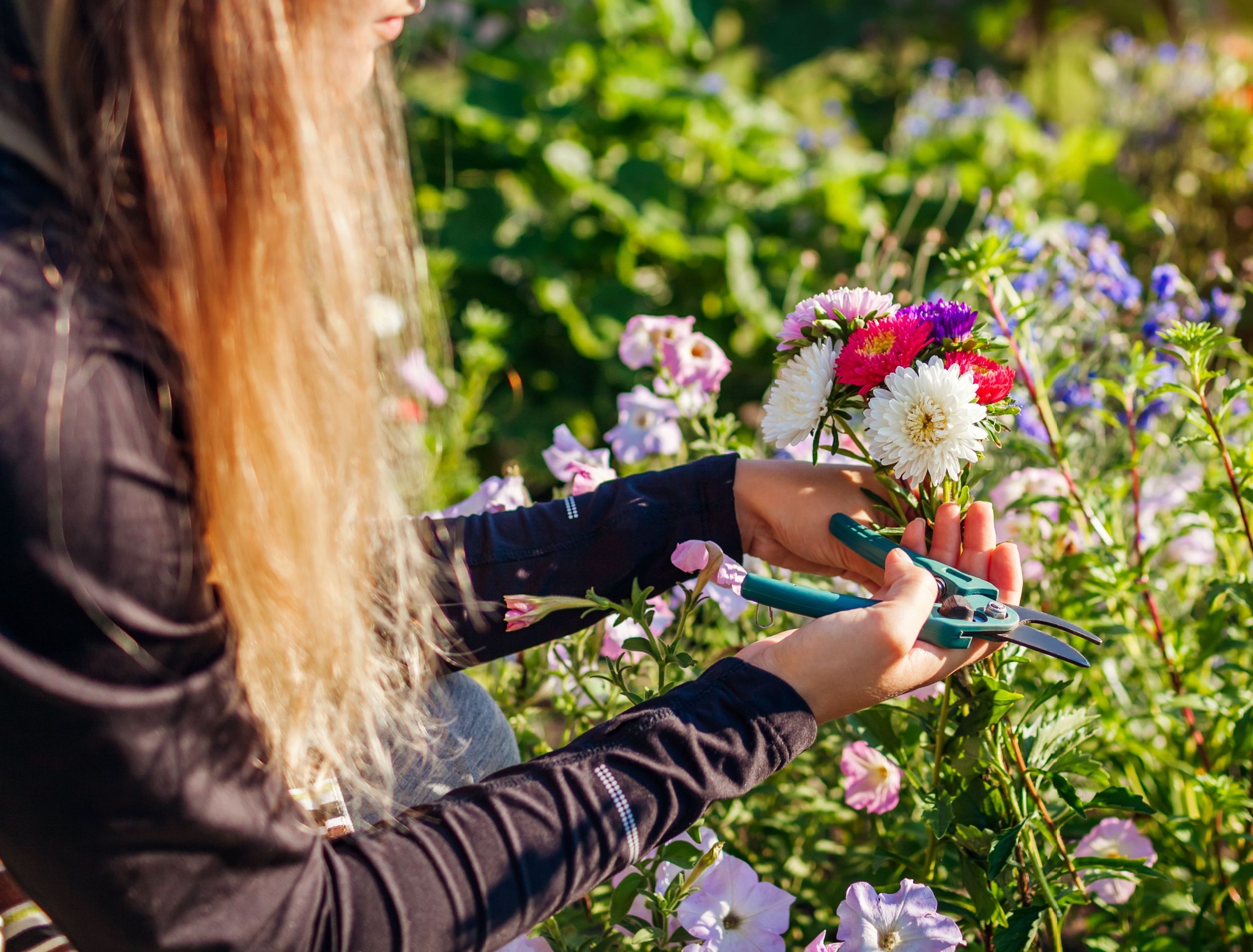 Should You Aerate Your Lawn in Early Spring?