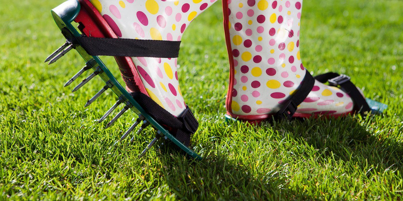 Fall Lawn Care: Strengthen Your Fall Grass With Simple Treatments