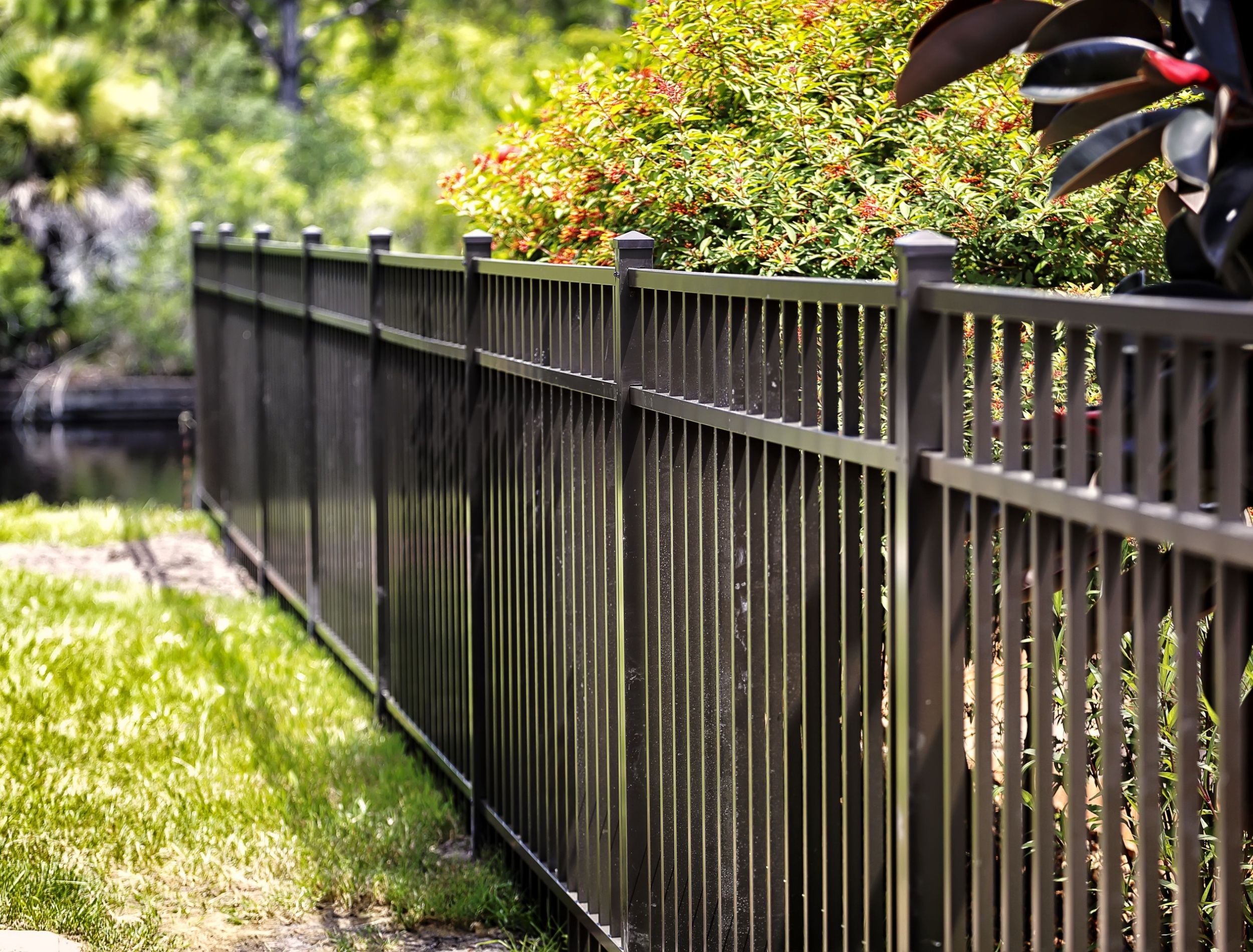 A black fence will transform your yard or garden