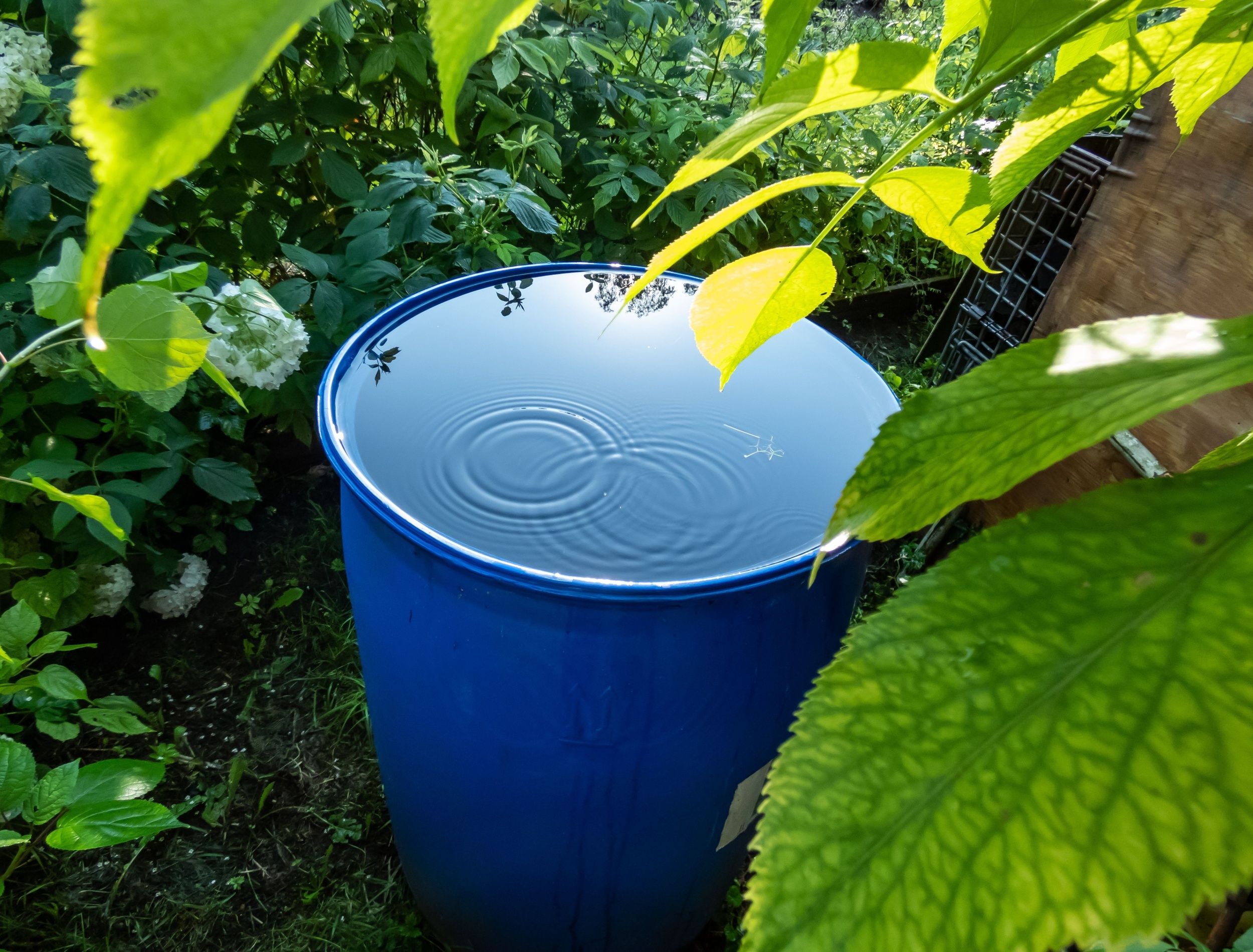 Sustainable gardening 5 ways to grow greener and spend less