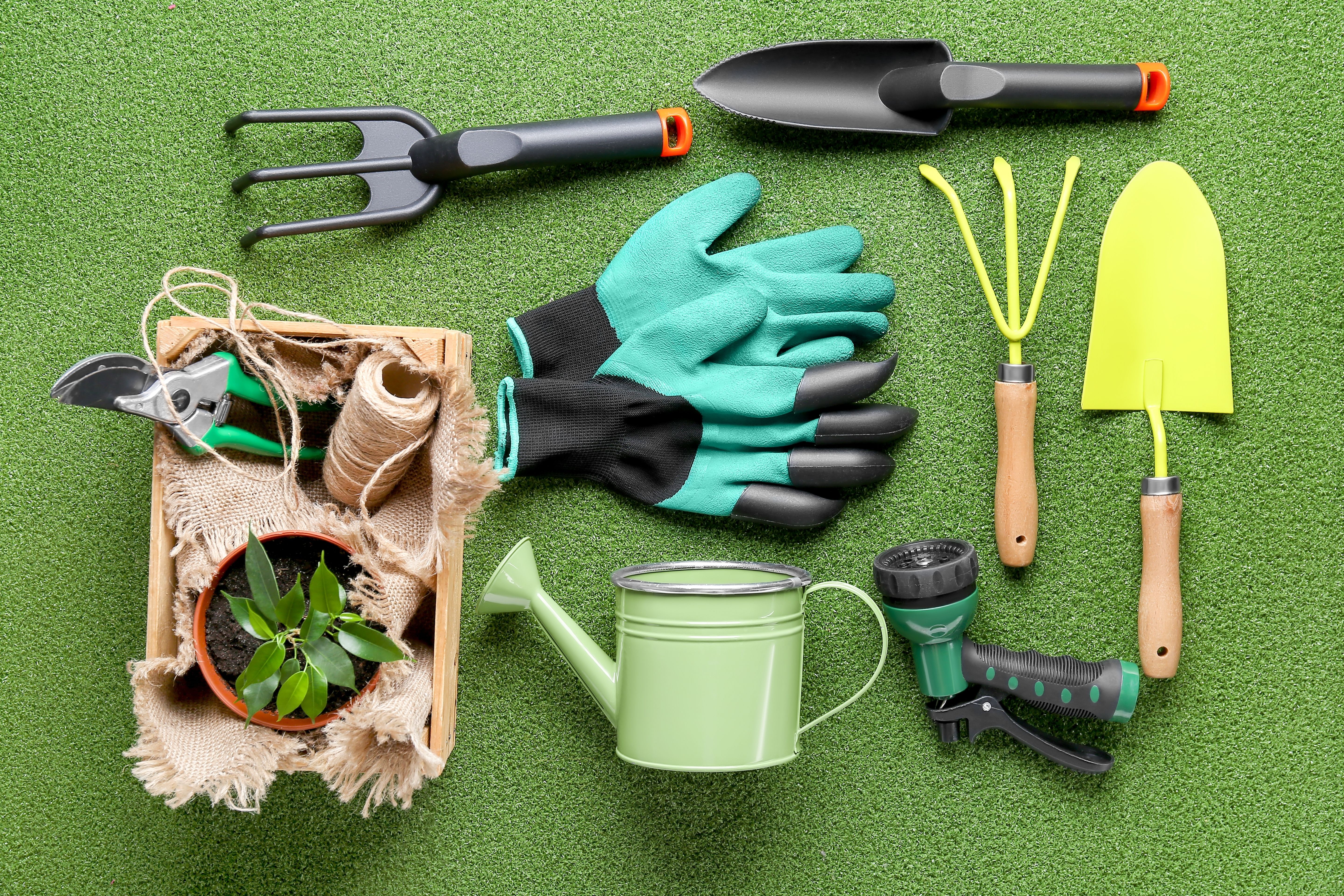 The Ultimate Gardener's Toolkit: 11 Essential Tools