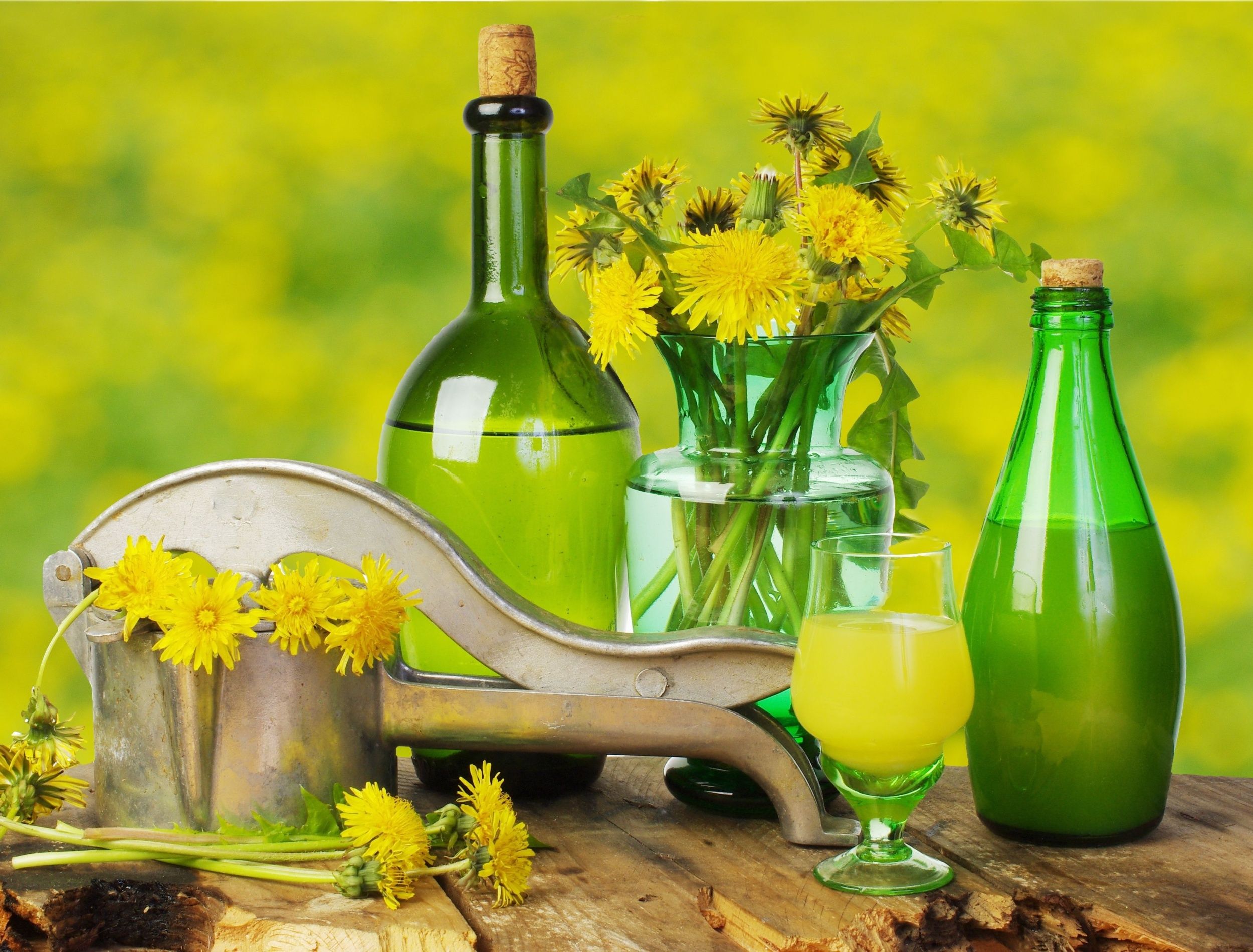 Dandelion Wine: Use Dandelions to Form the Base of a Unique Wine