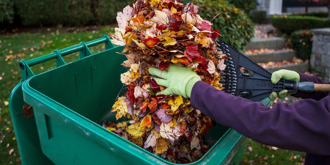 Yard Waste 5 Things to Keep Out of Your Fireplace