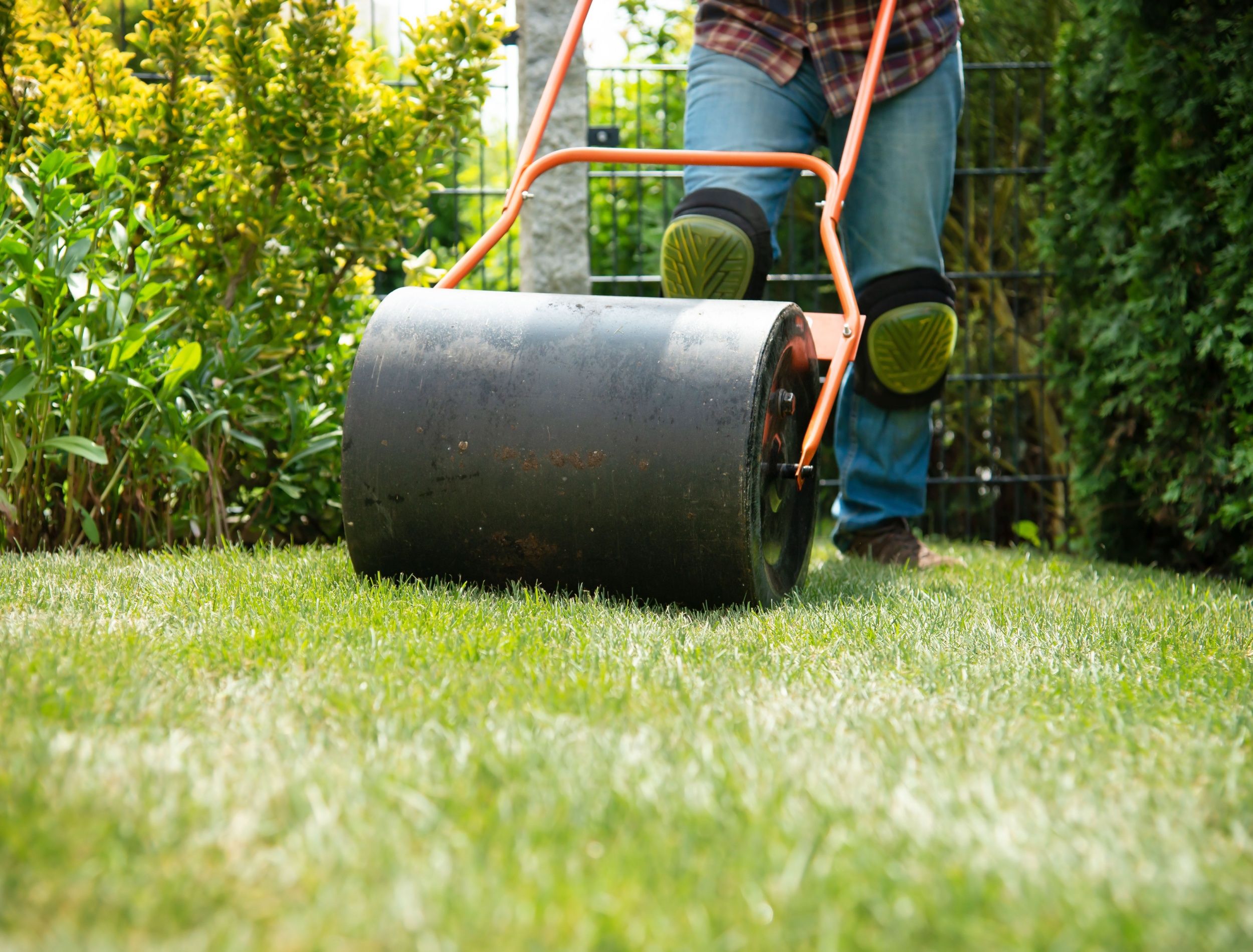 How To Smooth Your Lawn Actionable Steps To Improve Your Lawn s Health