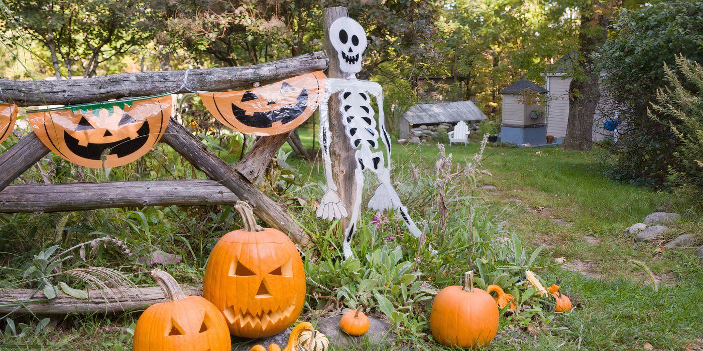 Halloween Yard Decorations 5 Spooky Ways To Enhance Your Plant Decor
