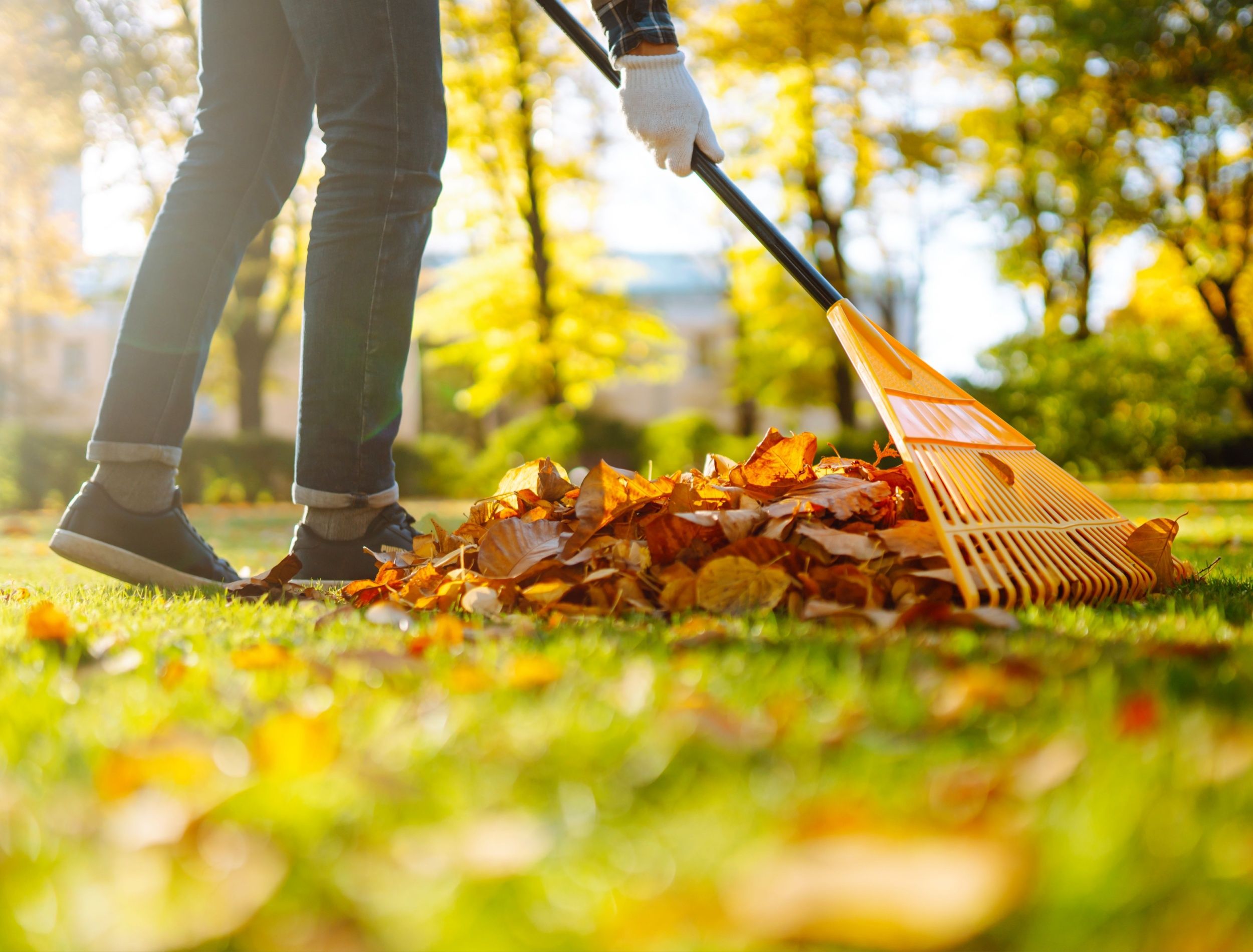 Learn How To Rake Leaves Without Straining Your Back