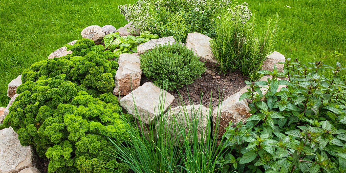 Landscaping Ideas: Transform Your Space With Suburban Homesteading