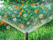 How Motion Activated Sprinklers Transform Lawn Care