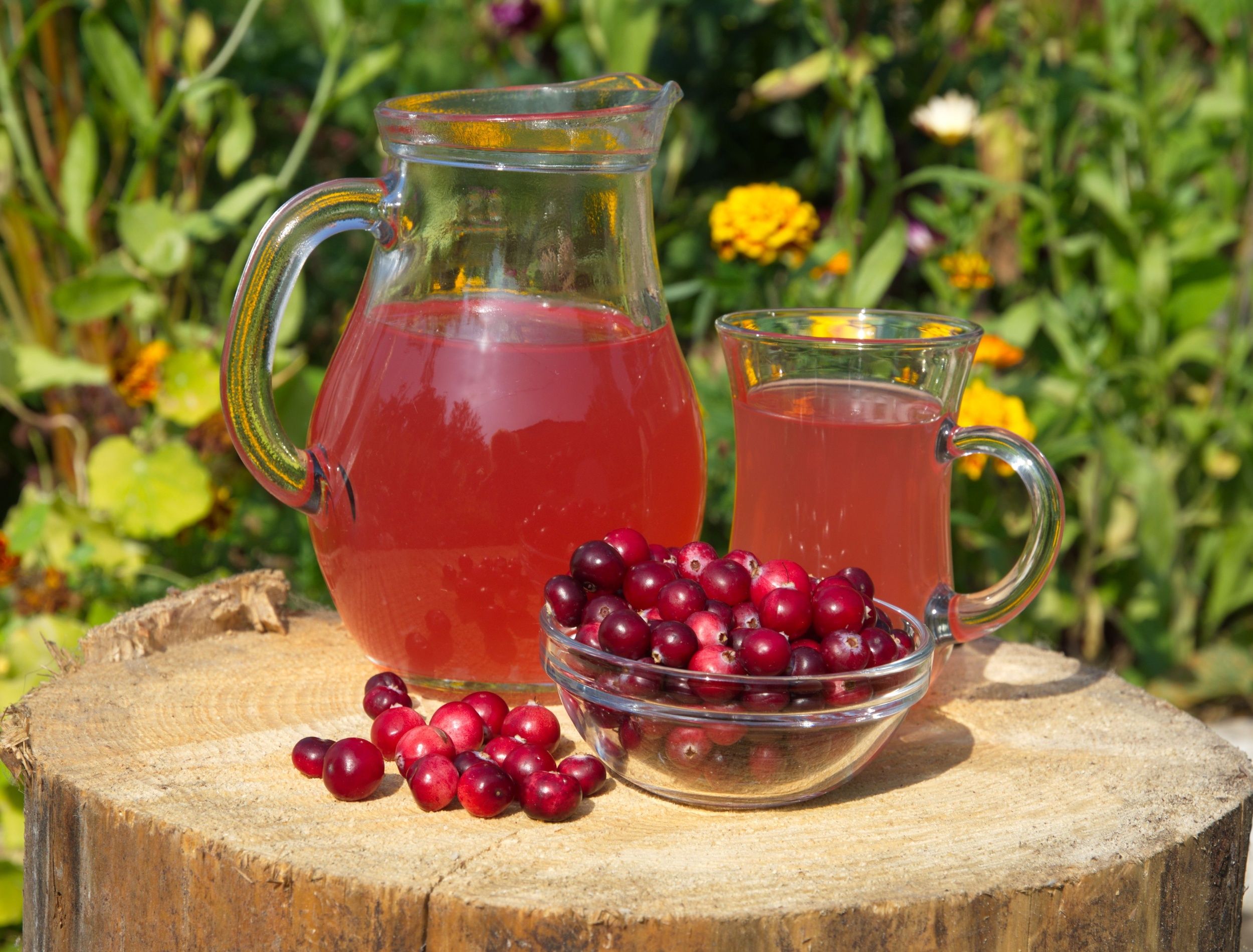 Healthy Juicing: Make 5 Healthy Cranberry Juice Recipes