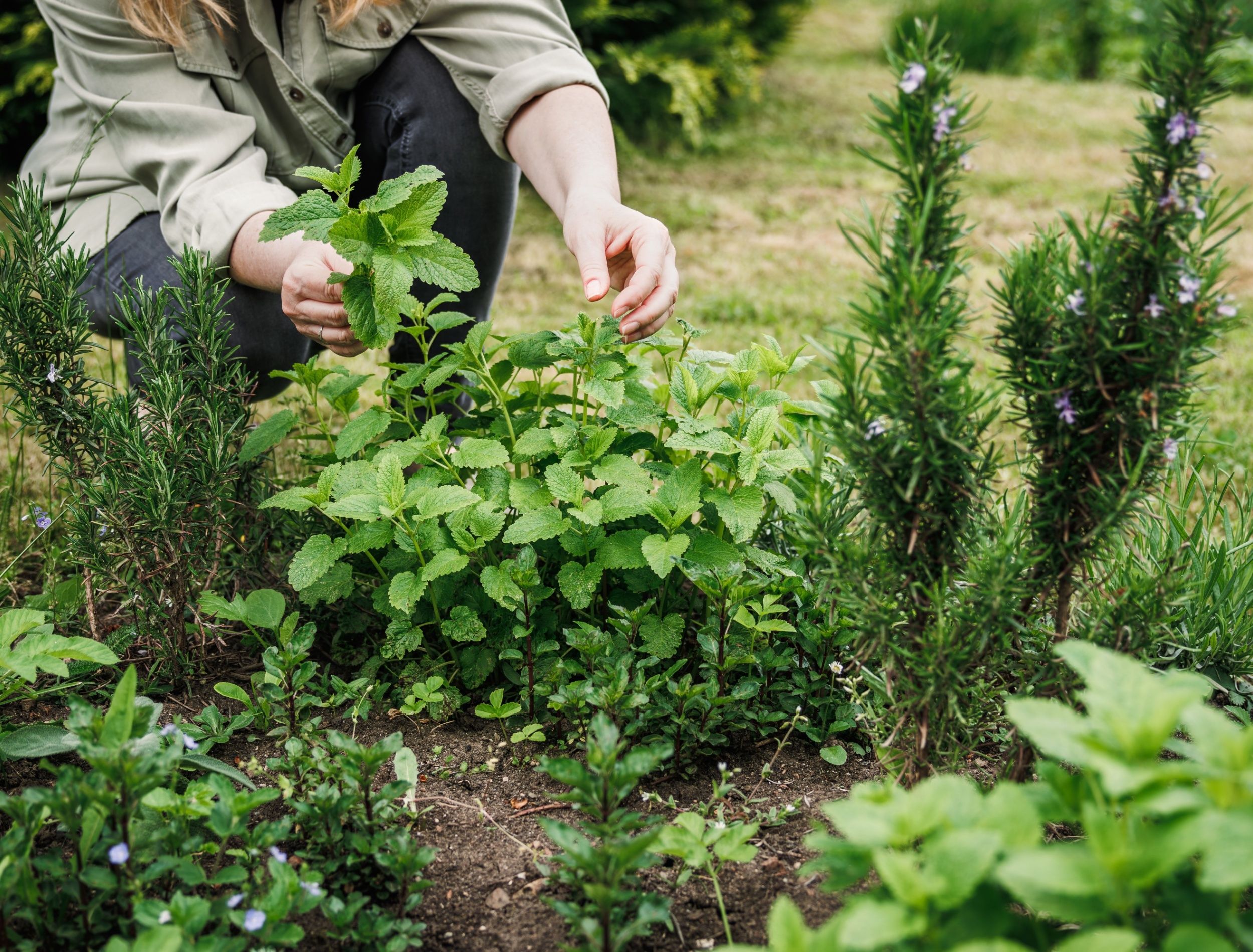 Transform Your Space Global Gardening Techniques from Around the World to