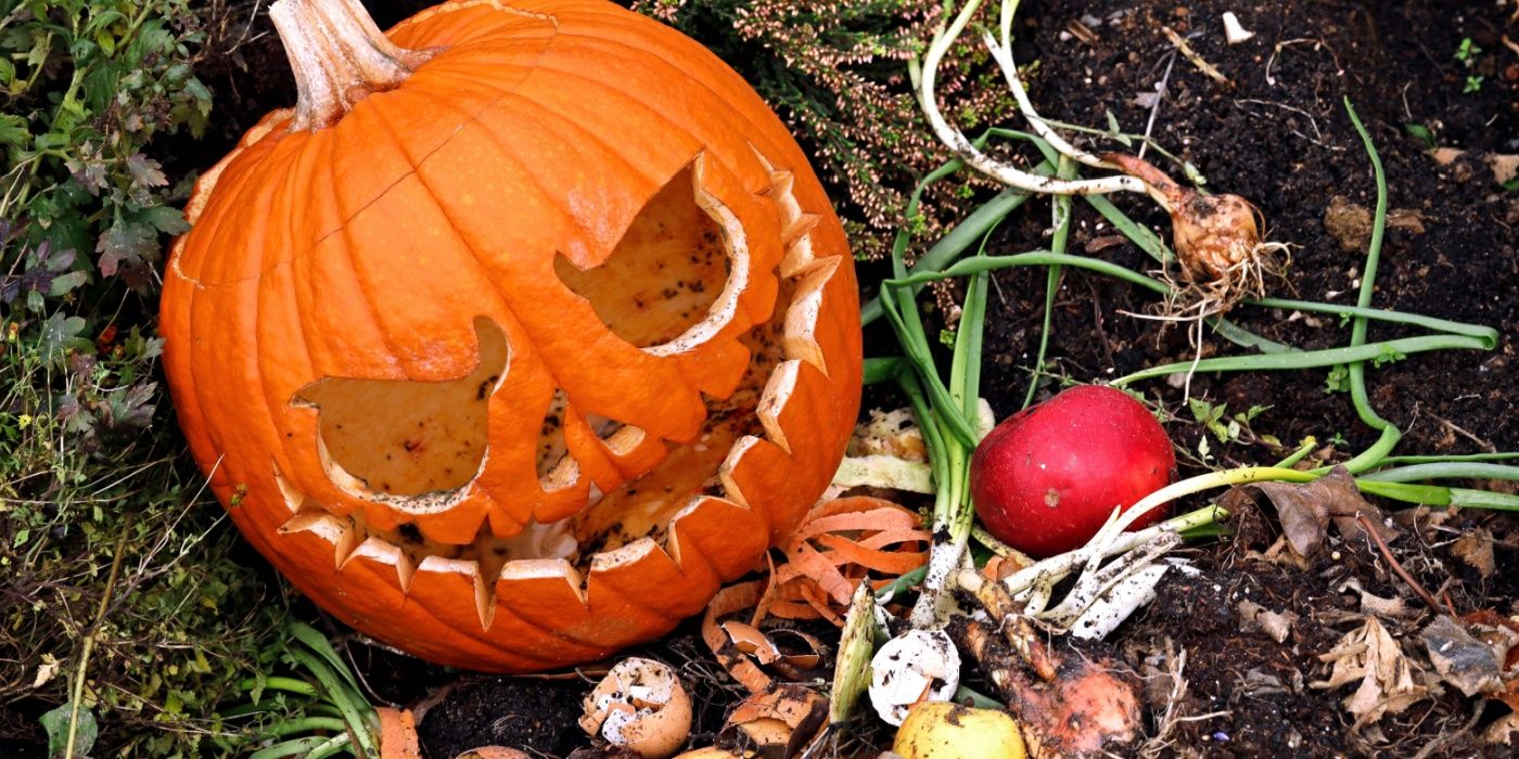 Eliminate Halloween Yard Chaos 7 Easy CleanUp Hacks