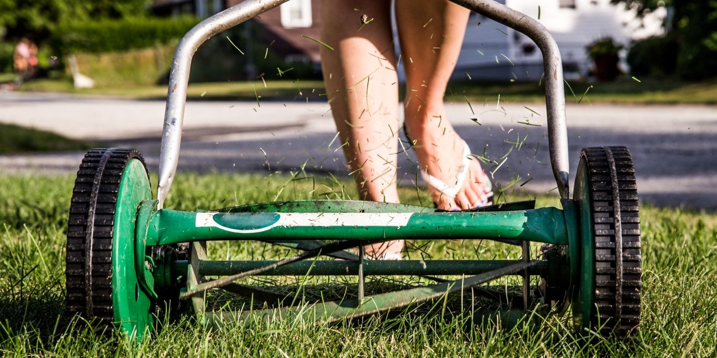 Sustainable Lawn Care Tips and Alternatives | Live to Plant