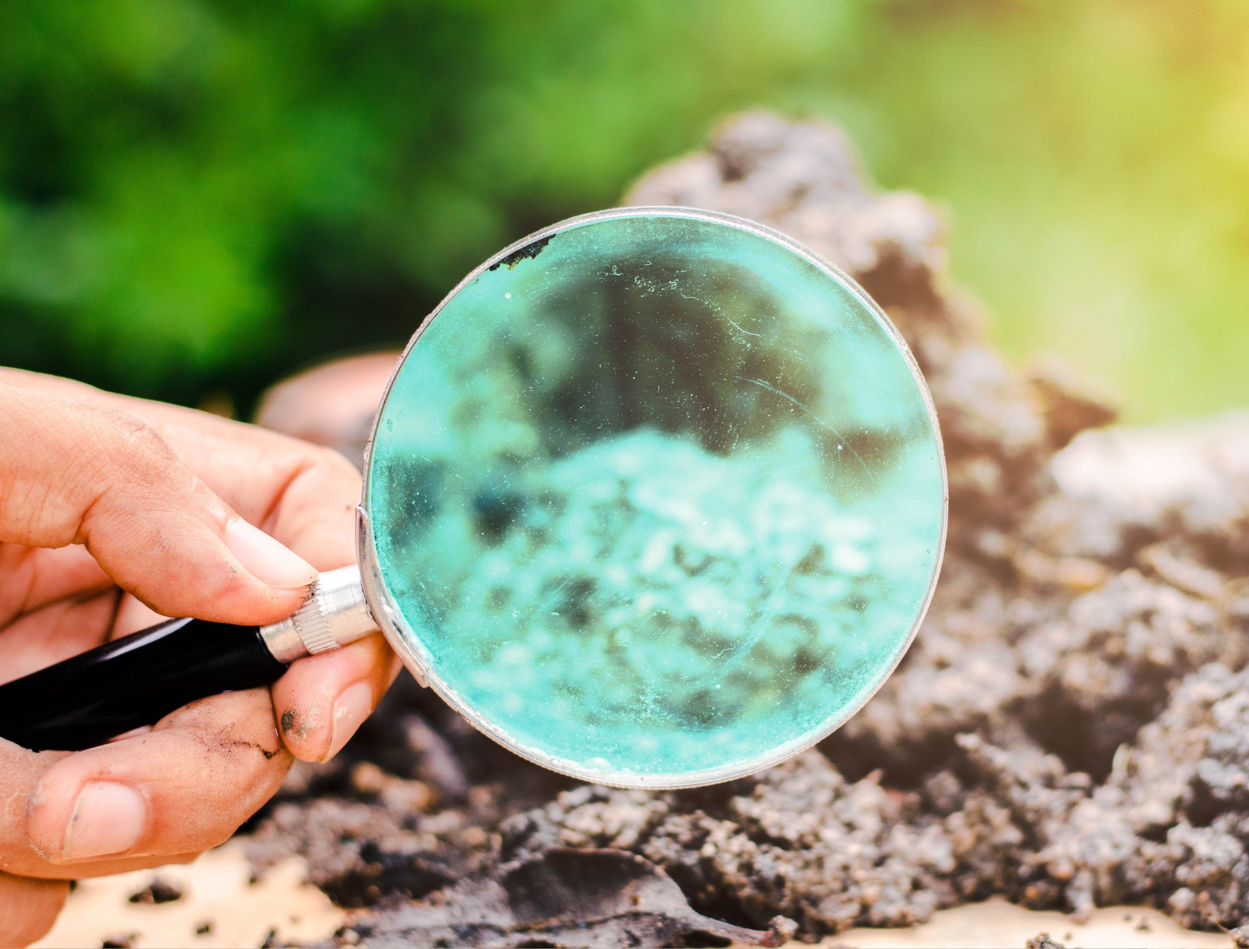 Soil microbes zoomed in with magnifying glass