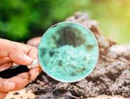 The Gut Garden Connection How Soil Impacts Gut Health