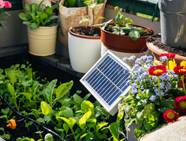 5 Bright Ideas For Solar Powered DIY Garden Projects
