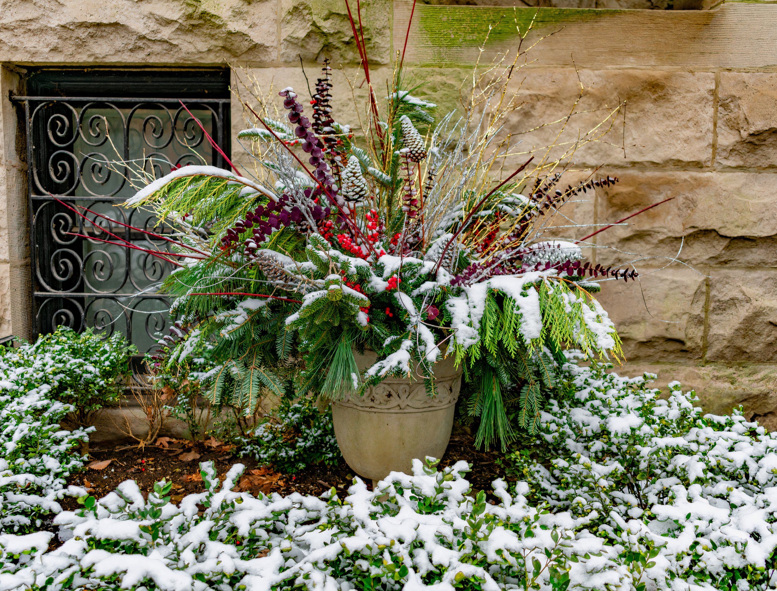 6 Enchanting Landscaping Tips for a Winter Wonderland