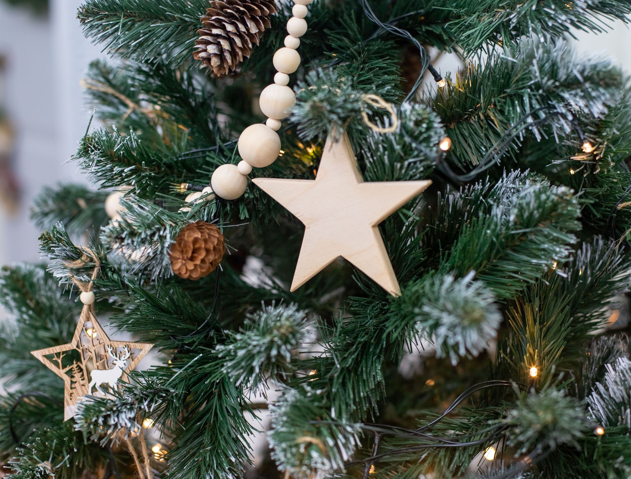 DIY Ornaments You Can Make With Plants