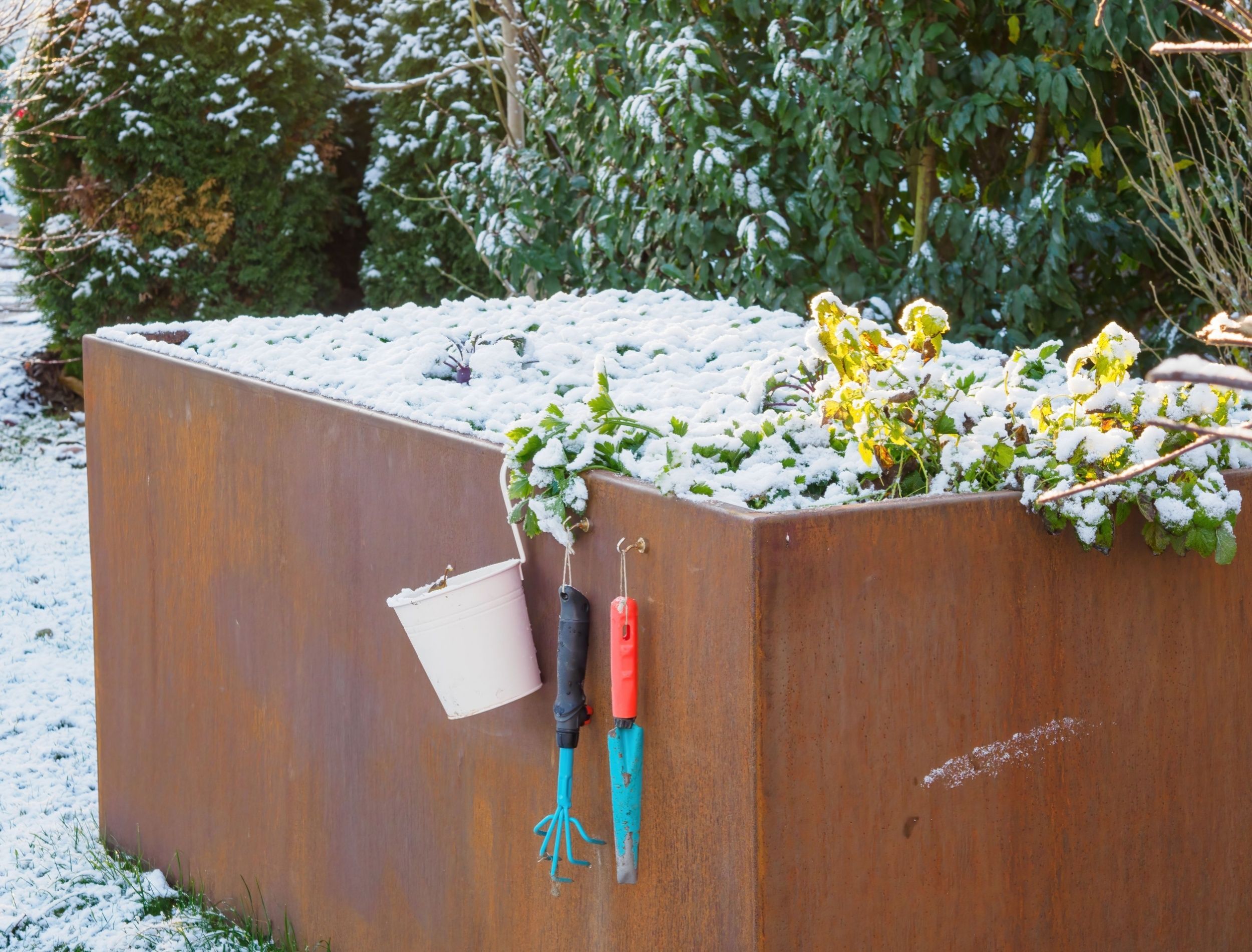 Winter Gardening How to Make Your Garden Shine All Season