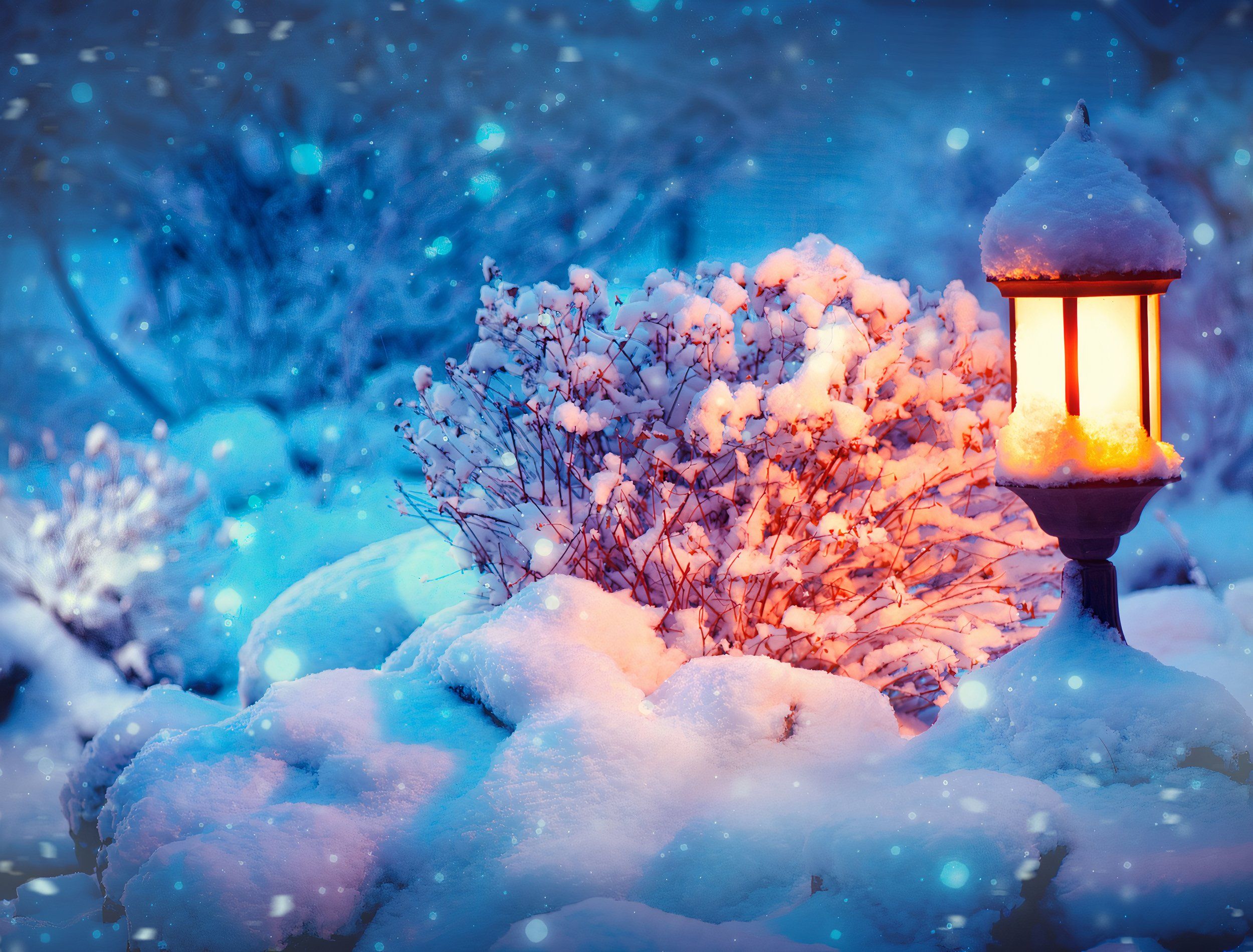 late-winter-landscape-ideas-how-to-add-interest-and-beauty