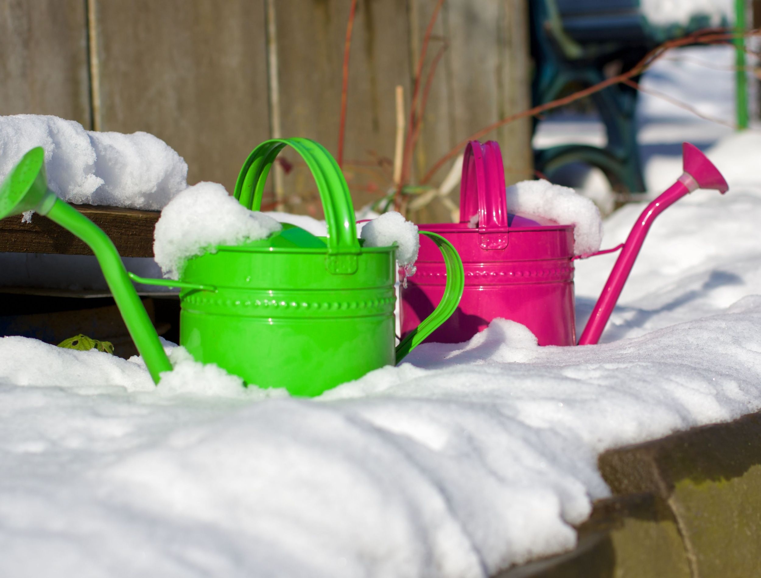 winter-watering-tips-for-your-garden