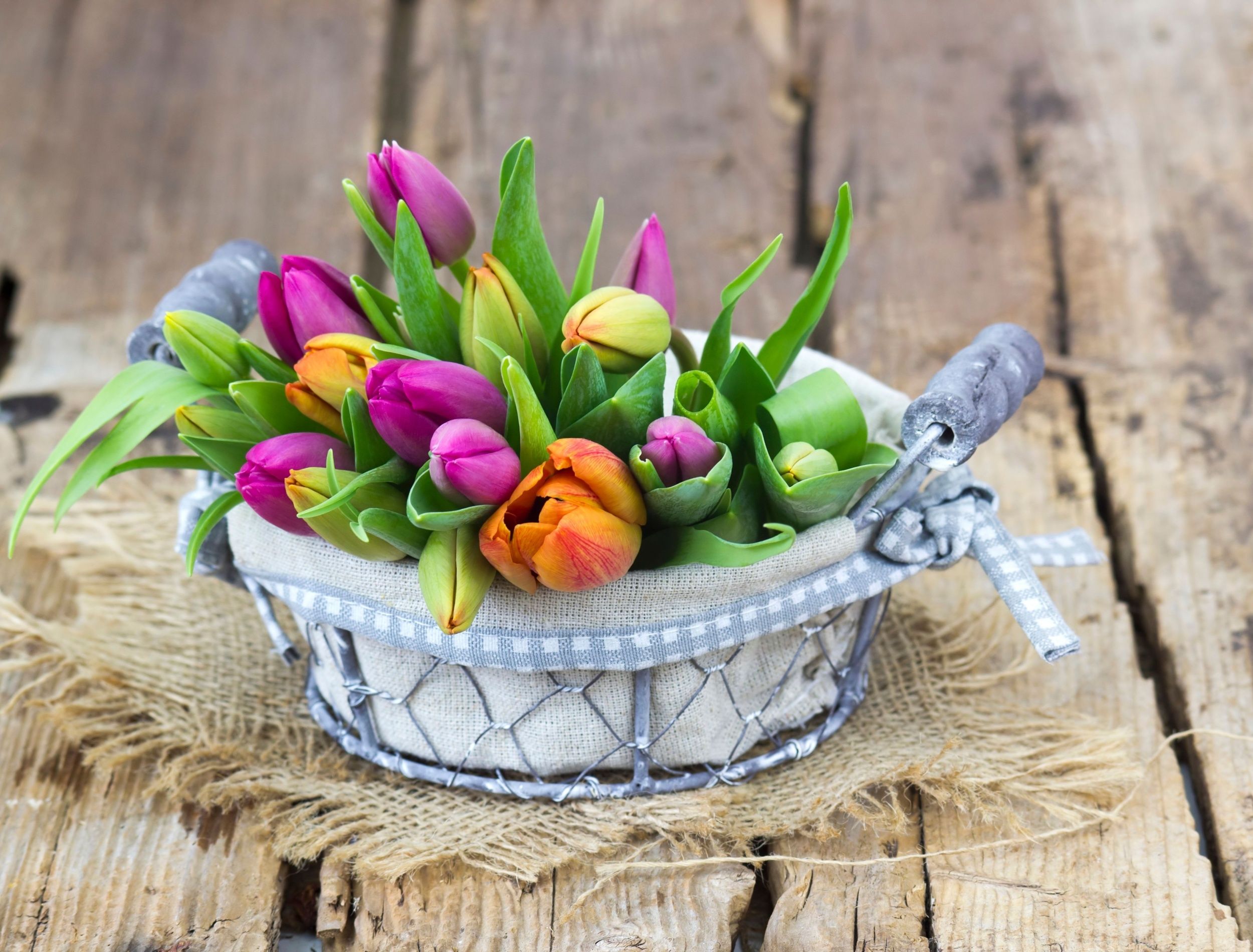 6 ways to add potassium to your soil
