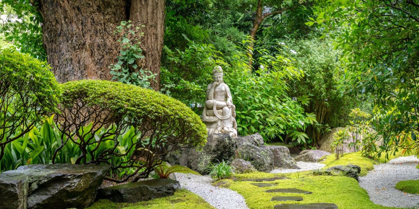 How Many Zen Garden Plants are There: Discover Variety