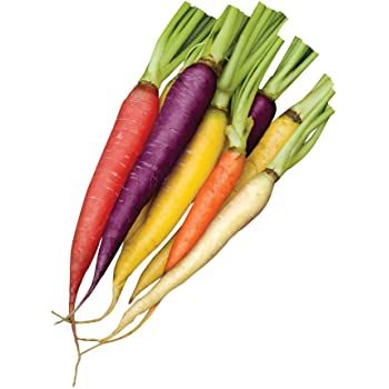 $$title$$ - Burpee Kaleidoscope Blend Carrot Seeds