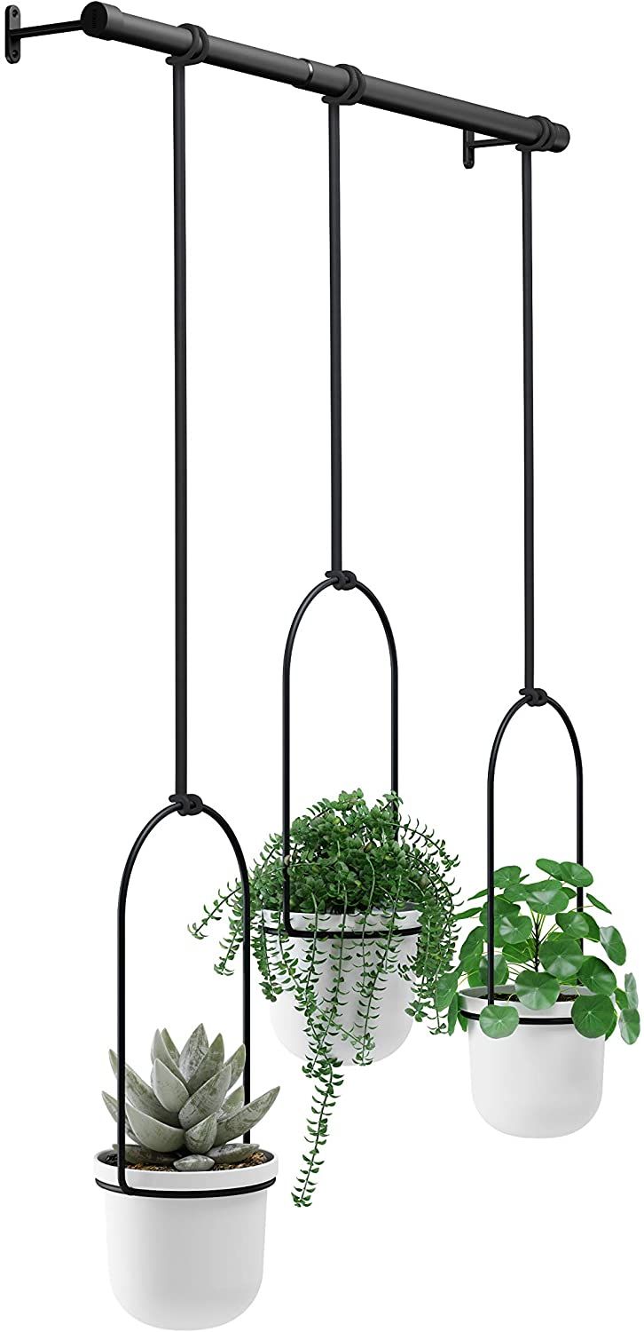 Umbra Triflora Hanging Planter for Small Plants - $$title$$