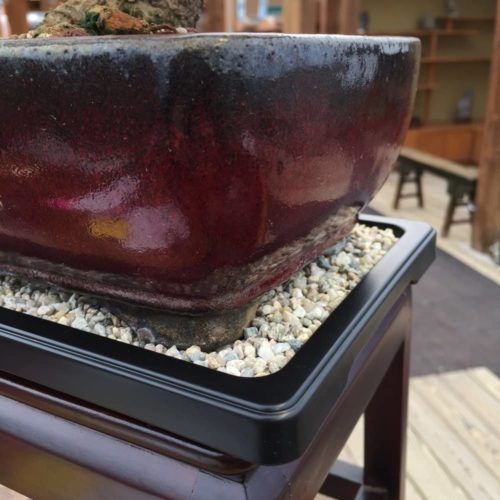 Buy Drip and Humidity Tray with Washed River Rocks at Amazon