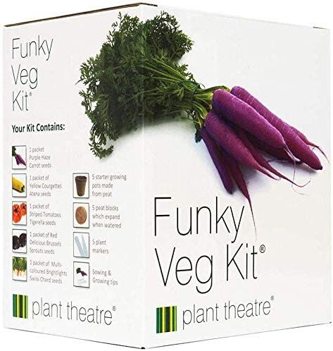 Plant Theatre Funky Veg Kit - 5 Vegetables