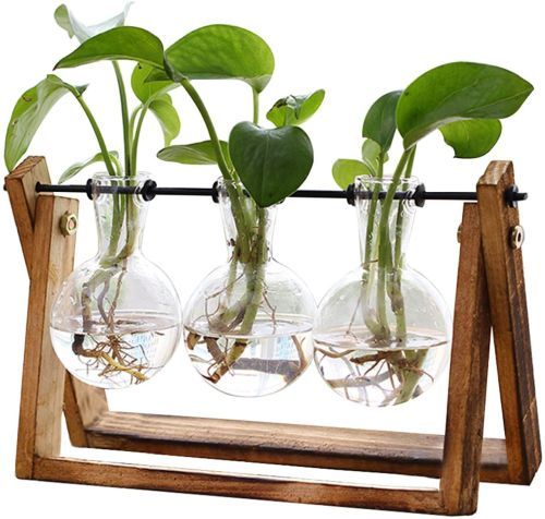XXXFLOWER Plant Terrarium with Wooden Stand - $$title$$