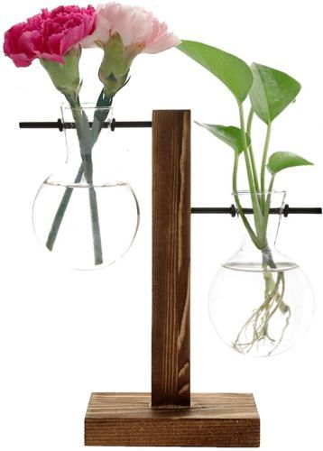 Feitore Glass Planter Bulb Vase - $$title$$