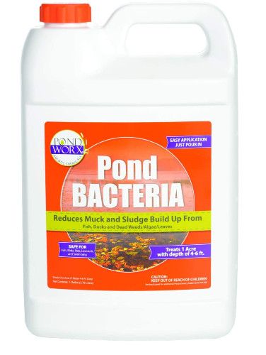 bottle of PondWorx pond bacteria