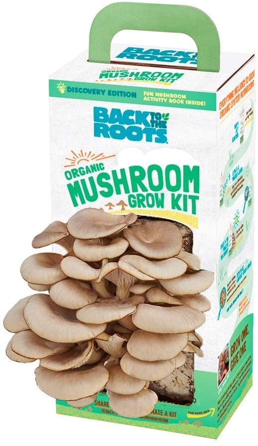 Back to the Roots Organic Mushroom Growing Kit - $$title$$