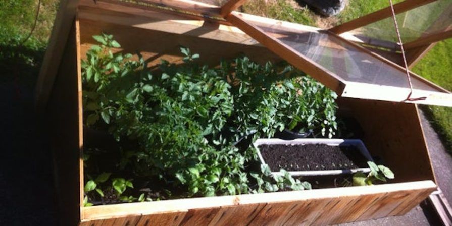 Cold Frame Reclaimed Materials