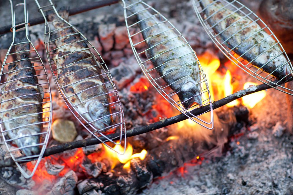fish over campfire
