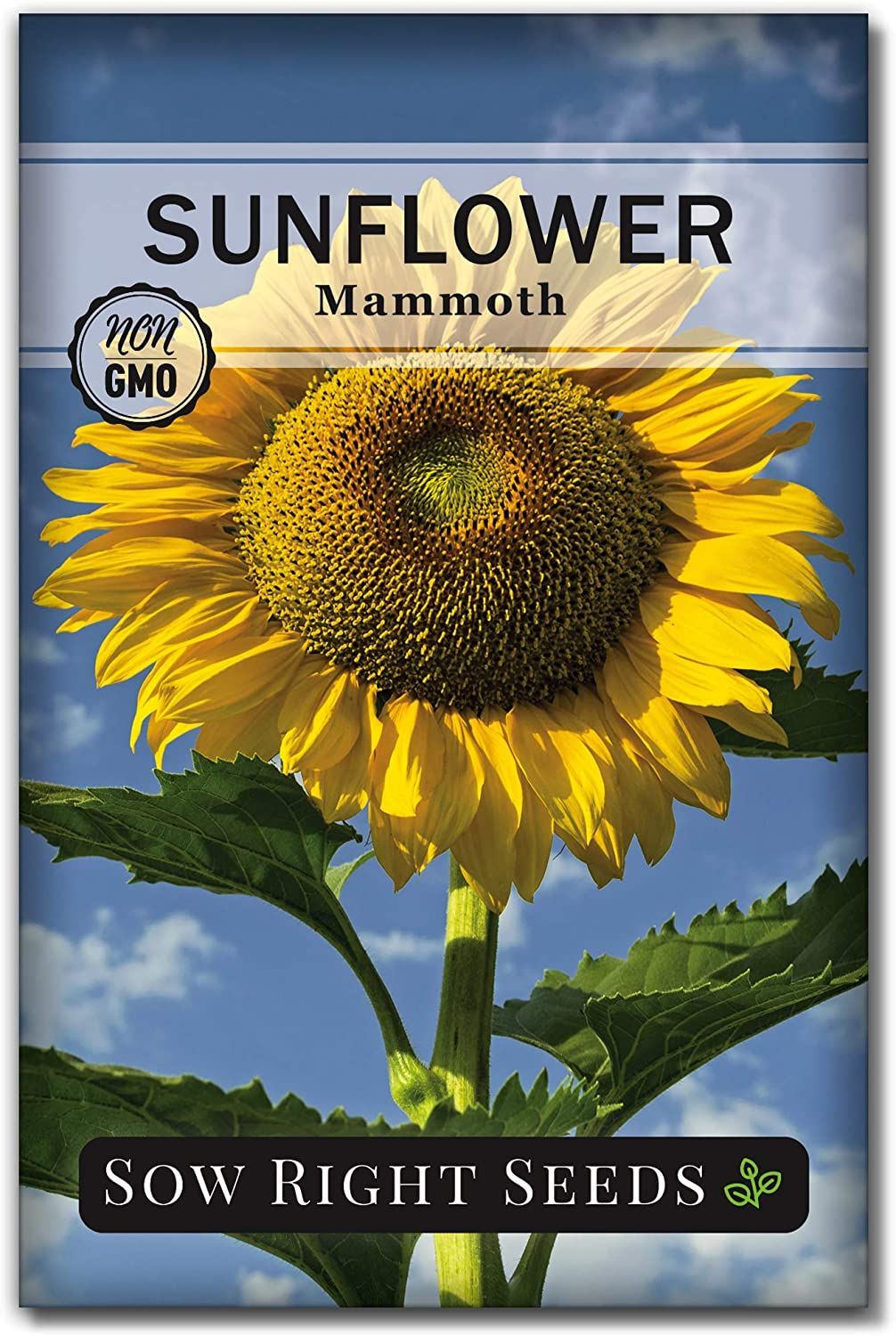 Sow Right Seeds Mammoth Sunflower Seeds - $$title$$