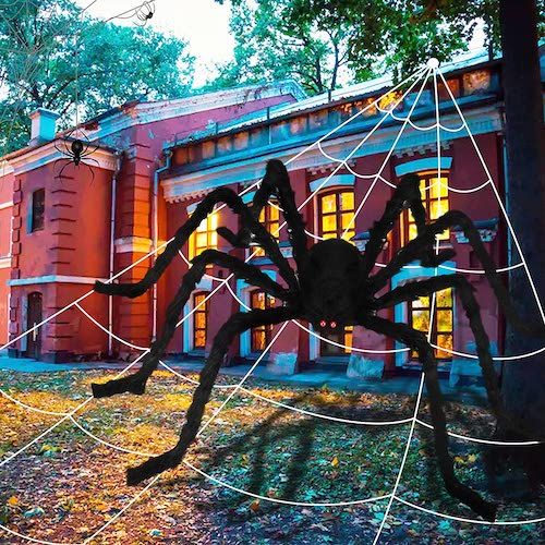Giant Halloween spider 
