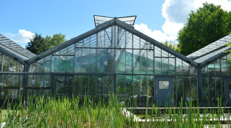 Glass greenhouse with vents on roof