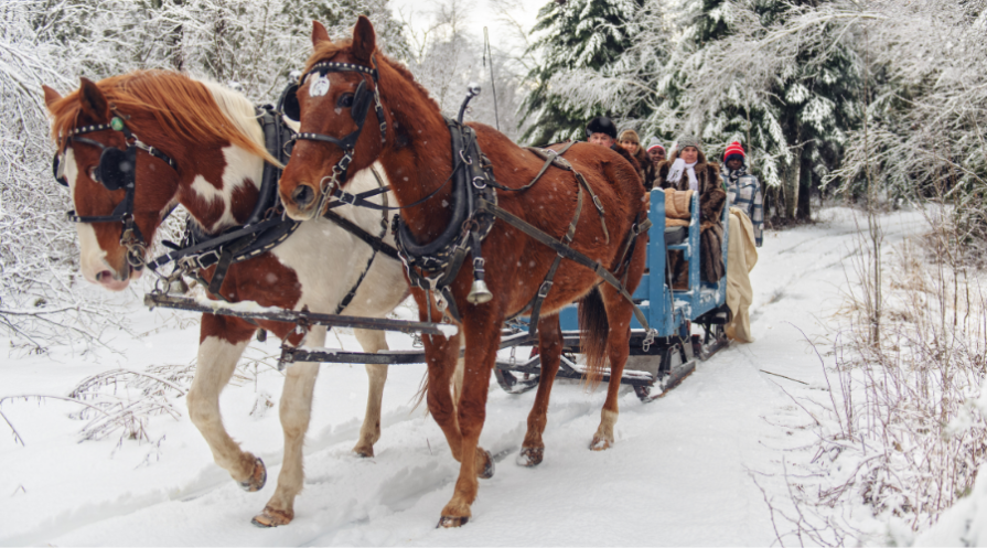 Multi-ethnic group sleigh riding