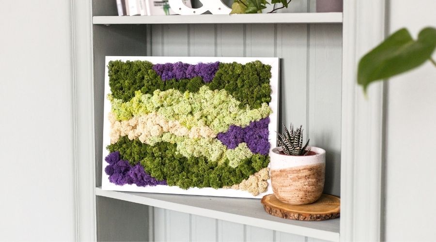 moss wall panel displayed on a shelf