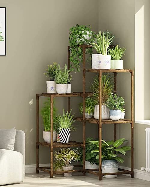 Corner Plant Shelf 