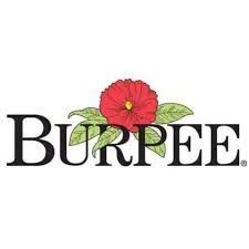 Burpee - $$title$$